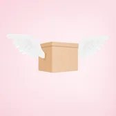 Free Express Shipping